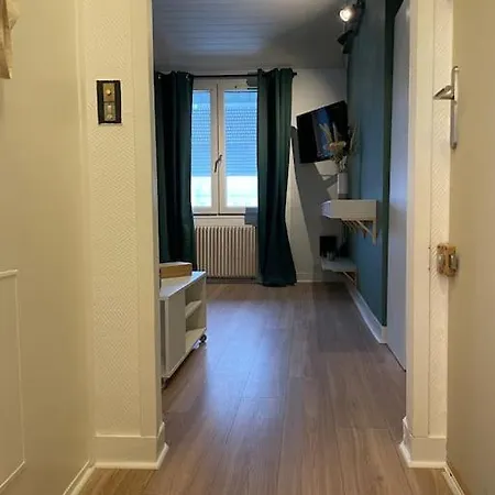 Appartement Joli En Duplex, Parking Prive Hortillonage