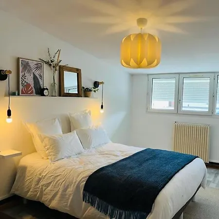 Joli En Duplex, Parking Prive Hortillonage Amiens