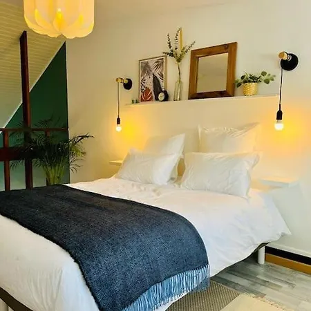 Appartement Joli En Duplex, Parking Prive Hortillonage Amiens