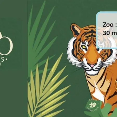 Appartement Joli En Duplex, Parking Prive Hortillonage *